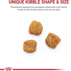 Royal Canin Feline Breed Nutrition Persian Kitten Dry Cat Food, 3-lb Bag -Furry Feast 75471 PT3. AC SS1800 V1697756702