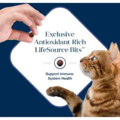 Blue Buffalo Basics Skin & Stomach Care Grain-Free Formula Duck & Potato Indoor Adult Dry Cat Food -Furry Feast 75578 PT6. AC SS1800 V1646281582
