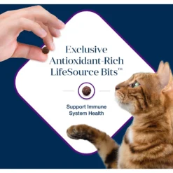 Blue Buffalo Basics Skin & Stomach Care Grain-Free Formula Turkey & Potato Indoor Mature Dry Cat Food -Furry Feast 75584 PT6. AC SS1800 V1646272886