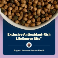 Blue Buffalo Freedom Indoor Kitten Chicken Recipe Grain-Free Dry Cat Food -Furry Feast 75603 PT6. AC SS1800 V1649127390