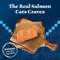 Blue Buffalo Wilderness Kitten Salmon Grain-Free Canned Cat Food -Furry Feast 75637 PT2. AC SS1800 V1646779588