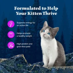 Blue Buffalo Wilderness Kitten Salmon Grain-Free Canned Cat Food -Furry Feast 75637 PT3. AC SS1800 V1646778384