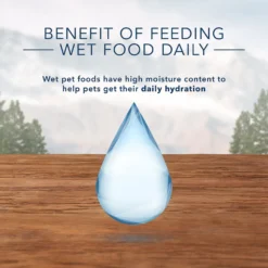 Blue Buffalo Wilderness Mature Chicken Recipe Grain-Free Canned Cat Food 12 Blue Buffalo Wilderness Mature Chicken Recipe Grain-Free Canned Cat Food -Furry Feast 75647 PT5. AC SS1800 V1646788289