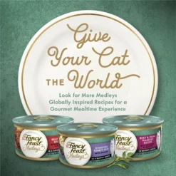 Fancy Feast Medleys Wild Salmon Florentine Canned Cat Food -Furry Feast 75886 PT5. AC SS1800 V1669908065