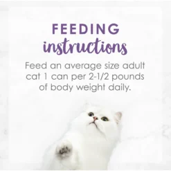 Fancy Feast Medleys Wild Salmon Florentine Canned Cat Food -Furry Feast 75886 PT7. AC SS1800 V1586526390