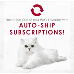 Fancy Feast Medleys Wild Salmon Primavera Canned Cat Food -Furry Feast 75898 PT8. AC SS1800 V1649107890