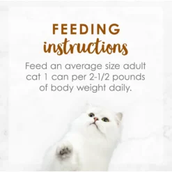 Fancy Feast Medleys Tender Turkey Tuscany Canned Cat Food -Furry Feast 75904 PT7. AC SS1800 V1586526990