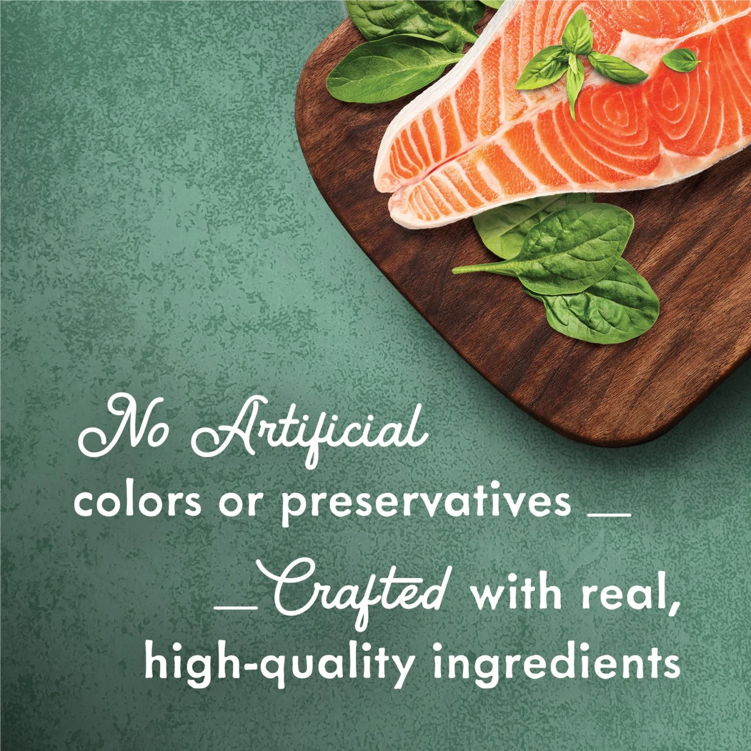 Fancy Feast Medleys Shredded Wild Salmon Fare Canned Cat Food 3 Fancy Feast Medleys Shredded Wild Salmon Fare Canned Cat Food - Image 3