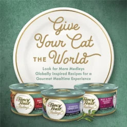 Fancy Feast Medleys Shredded Wild Salmon Fare Canned Cat Food 14 Fancy Feast Medleys Shredded Wild Salmon Fare Canned Cat Food -Furry Feast 75910 PT5. AC SS1800 V1666042995