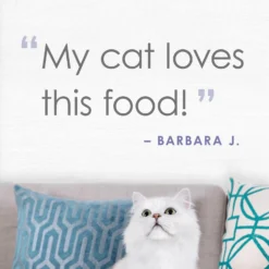 Fancy Feast Purely White Meat Chicken & Shredded Beef Wet Cat Food -Furry Feast 75931 PT5. AC SS1800 V1640887914
