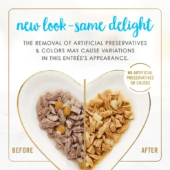 Fancy Feast Delights With Cheddar Grilled Tuna & Cheddar Cheese Feast In Gravy Canned Cat Food 11 Fancy Feast Delights With Cheddar Grilled Tuna & Cheddar Cheese Feast In Gravy Canned Cat Food -Furry Feast 75956 PT2. AC SS1800 V1693928404