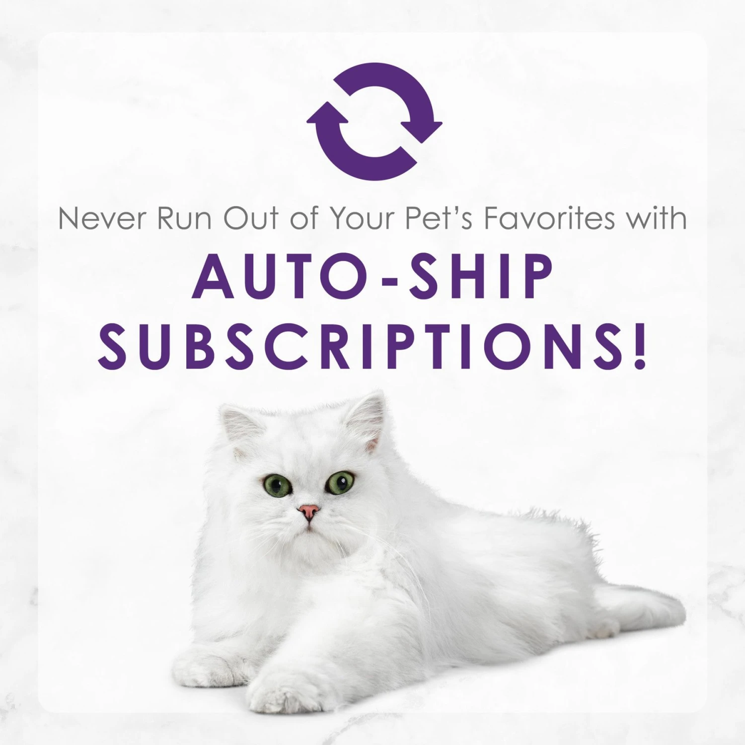 Fancy Feast Delights With Cheddar Grilled Tuna & Cheddar Cheese Feast In Gravy Canned Cat Food 9 Fancy Feast Delights With Cheddar Grilled Tuna & Cheddar Cheese Feast In Gravy Canned Cat Food - Image 9