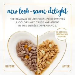 Fancy Feast Delights With Cheddar Grilled Whitefish & Cheddar Cheese Feast In Gravy Canned Cat Food -Furry Feast 75958 PT2. AC SS1800 V1693929357