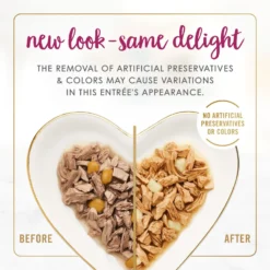 Fancy Feast Delights With Cheddar Grilled Chicken & Cheddar Cheese Feast In Gravy Canned Cat Food -Furry Feast 75960 PT2. AC SS1800 V1693929388