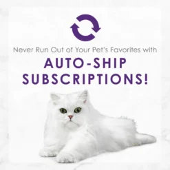 Fancy Feast Delights With Cheddar Grilled Chicken & Cheddar Cheese Feast In Gravy Canned Cat Food -Furry Feast 75960 PT8. AC SS1800 V1693927804