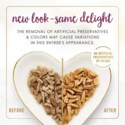 Fancy Feast Grilled Chicken Feast In Gravy Canned Cat Food -Furry Feast 76073 PT2. AC SS1800 V1683817842