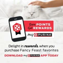 Fancy Feast Kitten Tender Ocean Whitefish Feast Canned Cat Food -Furry Feast 76098 PT4. AC SS1800 V1691419277