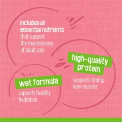 Friskies Pate Salmon Dinner Canned Cat Food -Furry Feast 76196 PT6. AC SS1800 V1700157297