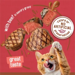 Friskies Extra Gravy Chunky With Beef In Savory Gravy Canned Cat Food -Furry Feast 76286 PT3. AC SS1800 V1699396521