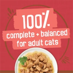 Friskies Extra Gravy Chunky With Beef In Savory Gravy Canned Cat Food -Furry Feast 76286 PT5. AC SS1800 V1700158063