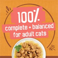 Friskies Extra Gravy Chunky With Chicken In Savory Gravy Canned Cat Food -Furry Feast 76290 PT5. AC SS1800 V1700158410