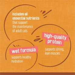 Friskies Extra Gravy Chunky With Chicken In Savory Gravy Canned Cat Food -Furry Feast 76290 PT7. AC SS1800 V1700159116