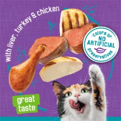 Friskies Tasty Treasures Pate Liver, Turkey & Chicken Wet Cat Food -Furry Feast 76340 PT3. AC SS1800 V1699375106
