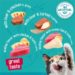 Friskies Tasty Treasures Gravy Prime Filets Variety Pack Wet Cat Food -Furry Feast 76350 PT2. AC SS1800 V1700158513