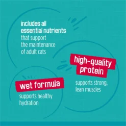 Friskies Tasty Treasures Gravy Prime Filets Variety Pack Wet Cat Food -Furry Feast 76350 PT6. AC SS1800 V1700160583