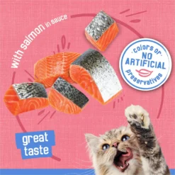 Friskies Savory Shreds With Salmon In Sauce Canned Cat Food -Furry Feast 76366 PT3. AC SS1800 V1699391234