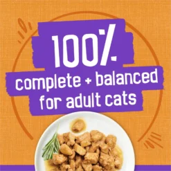 Friskies Meaty Bits Chicken Dinner In Gravy Canned Cat Food 14 Friskies Meaty Bits Chicken Dinner In Gravy Canned Cat Food -Furry Feast 76382 PT5. AC SS1800 V1700162676