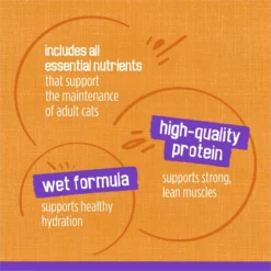 Friskies Meaty Bits Chicken Dinner In Gravy Canned Cat Food 16 Friskies Meaty Bits Chicken Dinner In Gravy Canned Cat Food -Furry Feast 76382 PT7. AC SS1800 V1700156805