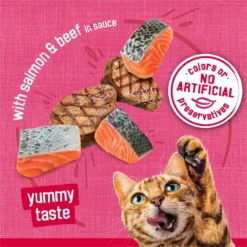 Friskies Prime Filets With Salmon & Beef In Sauce Canned Cat Food -Furry Feast 76397 PT3. AC SS1800 V1699371141