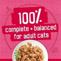 Friskies Prime Filets With Salmon & Beef In Sauce Canned Cat Food -Furry Feast 76397 PT5. AC SS1800 V1700156847