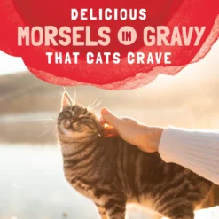 Natural Balance Platefulls Salmon, Tuna & Crab Formula In Gravy Grain-Free Cat Food Pouches -Furry Feast 76552 PT7. AC SS1800 V1677513850