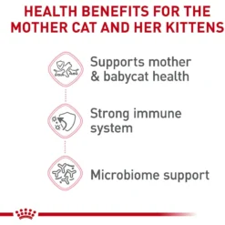 Royal Canin Feline Health Nutrition Mother & Babycat Dry Cat Food -Furry Feast 774150 PT4. AC SS1800 V1676063680