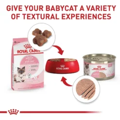 Royal Canin Feline Health Nutrition Mother & Babycat Dry Cat Food -Furry Feast 774150 PT5. AC SS1800 V1676062713