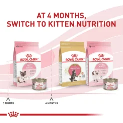 Royal Canin Feline Health Nutrition Mother & Babycat Dry Cat Food -Furry Feast 774150 PT6. AC SS1800 V1676063251