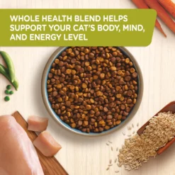 Rachael Ray Nutrish Natural Chicken & Brown Rice Recipe Dry Cat Food -Furry Feast 77993 PT3. AC SS1800 V1691762368