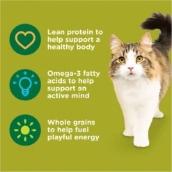 Rachael Ray Nutrish Natural Chicken & Brown Rice Recipe Dry Cat Food -Furry Feast 77993 PT4. AC SS1800 V1691768584