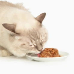 Catit Dinner Chicken With Liver & Sweet Potato Cat Wet Food, 2.8-oz Can -Furry Feast 781822 PT2. AC SS1800 V1677076940