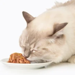 Catit Dinner Ocean Fish With Tuna & Carrot Cat Wet Food, 2.8-oz Can -Furry Feast 781854 PT2. AC SS1800 V1677076881