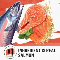 Purina Beyond Simply Salmon & Whole Brown Rice Recipe Dry Cat Food -Furry Feast 79014 PT2. AC SS1800 V1641256321