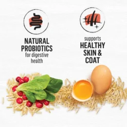 Purina Beyond Simply Salmon & Whole Brown Rice Recipe Dry Cat Food -Furry Feast 79014 PT4. AC SS1800 V1641262625