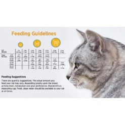 Blackwood Chicken Meal & Rice Recipe Kitten Formula Dry Cat Food -Furry Feast 79087 PT4. AC SS1800 V1550528517