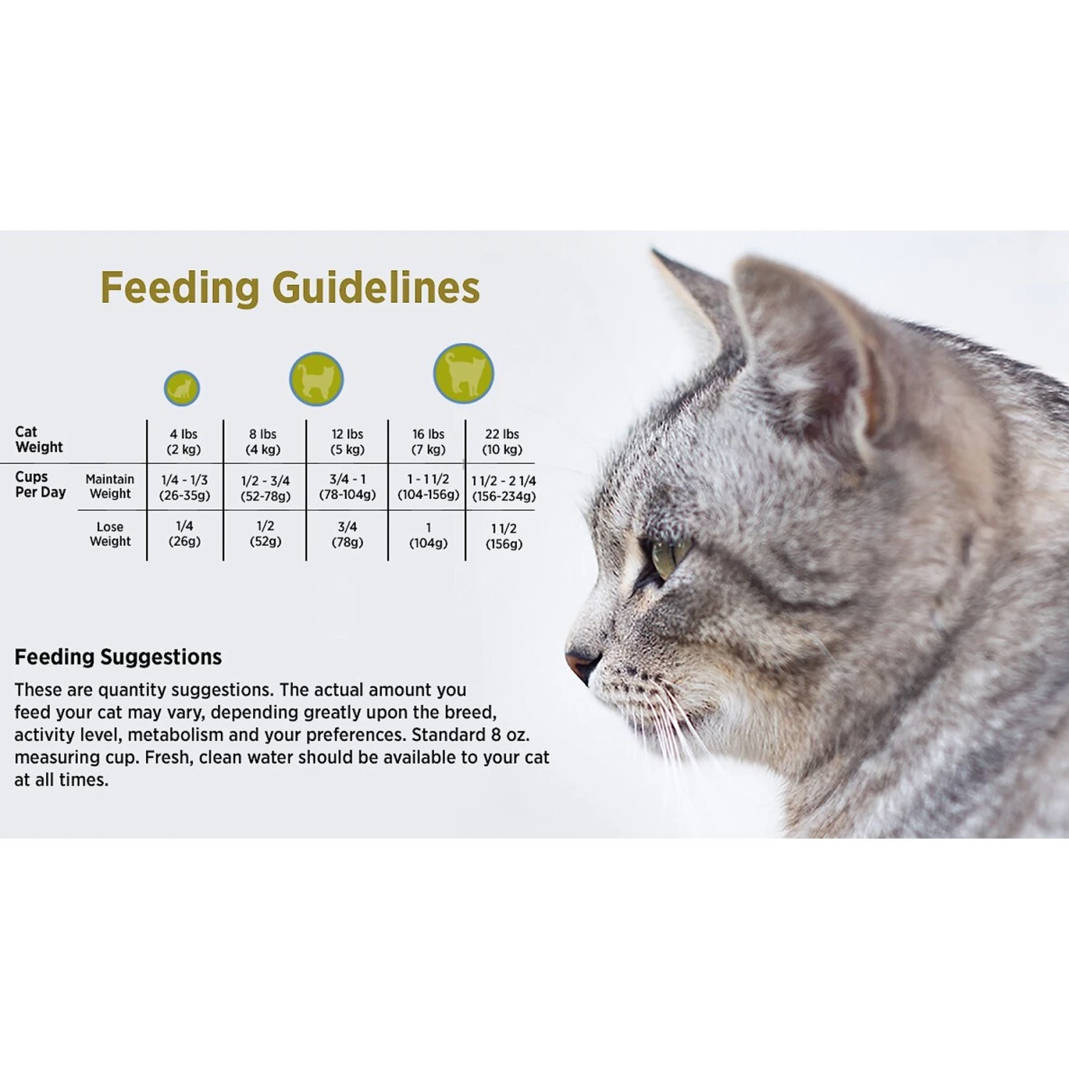 Blackwood Chicken Meal & Rice Recipe Lean Dry Cat Food 4 Blackwood Chicken Meal & Rice Recipe Lean Dry Cat Food - Image 4