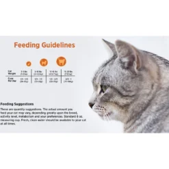 Blackwood Chicken Meal & Rice Recipe Indoor Formula Dry Cat Food 11 Blackwood Chicken Meal & Rice Recipe Indoor Formula Dry Cat Food -Furry Feast 79093 PT4. AC SS1800 V1550528541