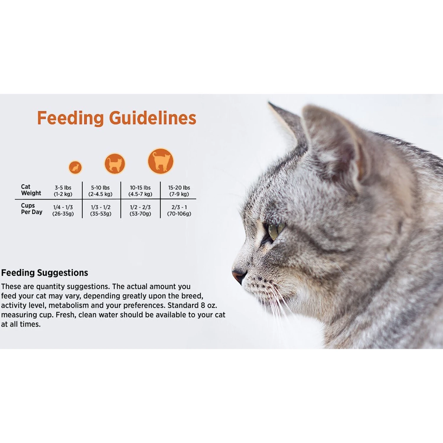 Blackwood Chicken Meal & Rice Recipe Indoor Formula Dry Cat Food 5 Blackwood Chicken Meal & Rice Recipe Indoor Formula Dry Cat Food - Image 5