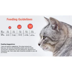 Blackwood Chicken Meal & Field Pea Recipe Grain-Free Dry Cat Food -Furry Feast 79100 PT4. AC SS1800 V1550528544