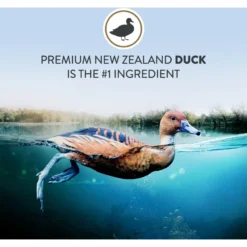 Addiction Duck Royale Grain-Free Dry Cat Food, 10-lb Bag 12 Addiction Duck Royale Grain-Free Dry Cat Food, 10-lb Bag -Furry Feast 792054 PT3. AC SS1800 V1677597976